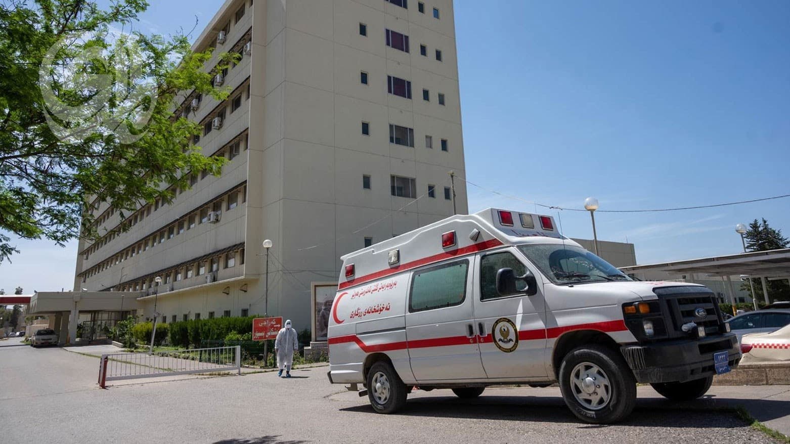 أربيل تسجل 99 حالة بلدغة خلال شهر