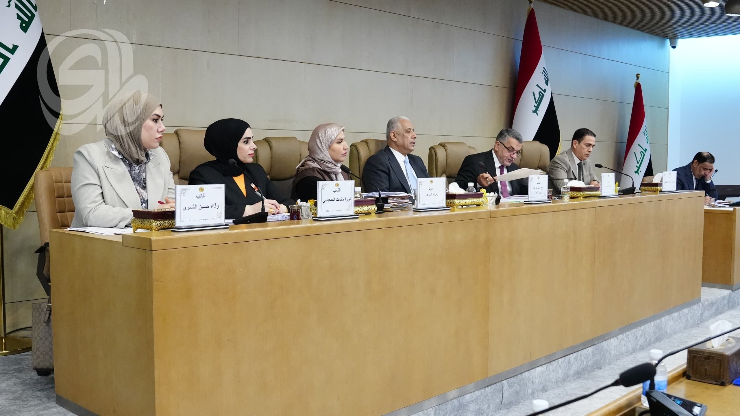Iraq looks to create independent renewable agency