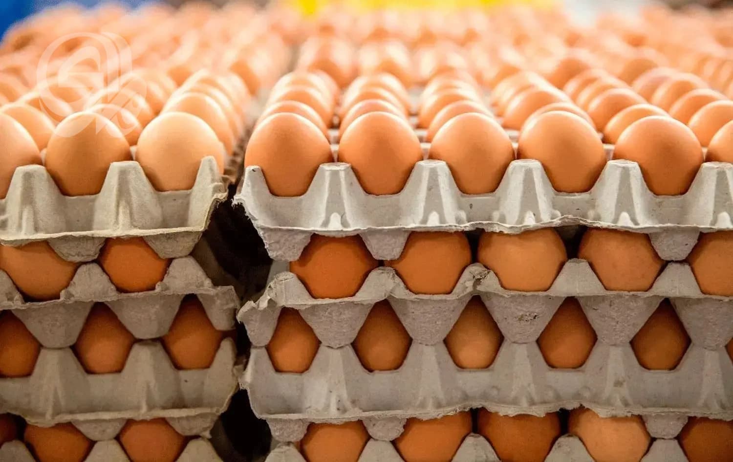 Agriculture Pushes for Cheaper Food Through Customs Support