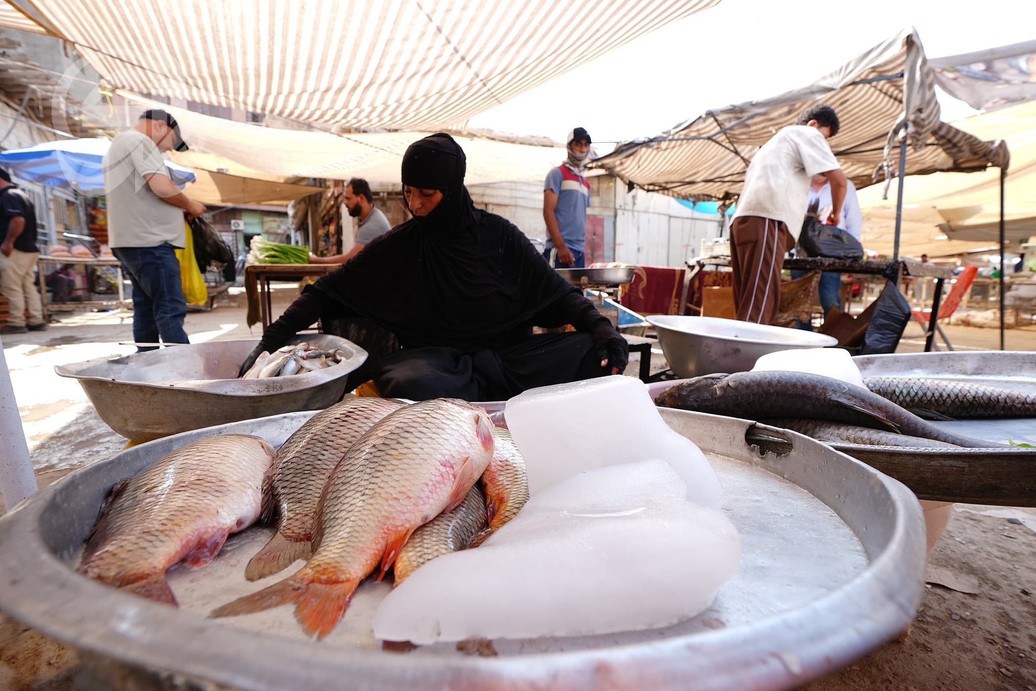 Agriculture Ministry reports stable fish prices