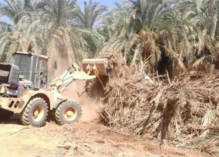 Baghdad's Green Spaces Shrinking