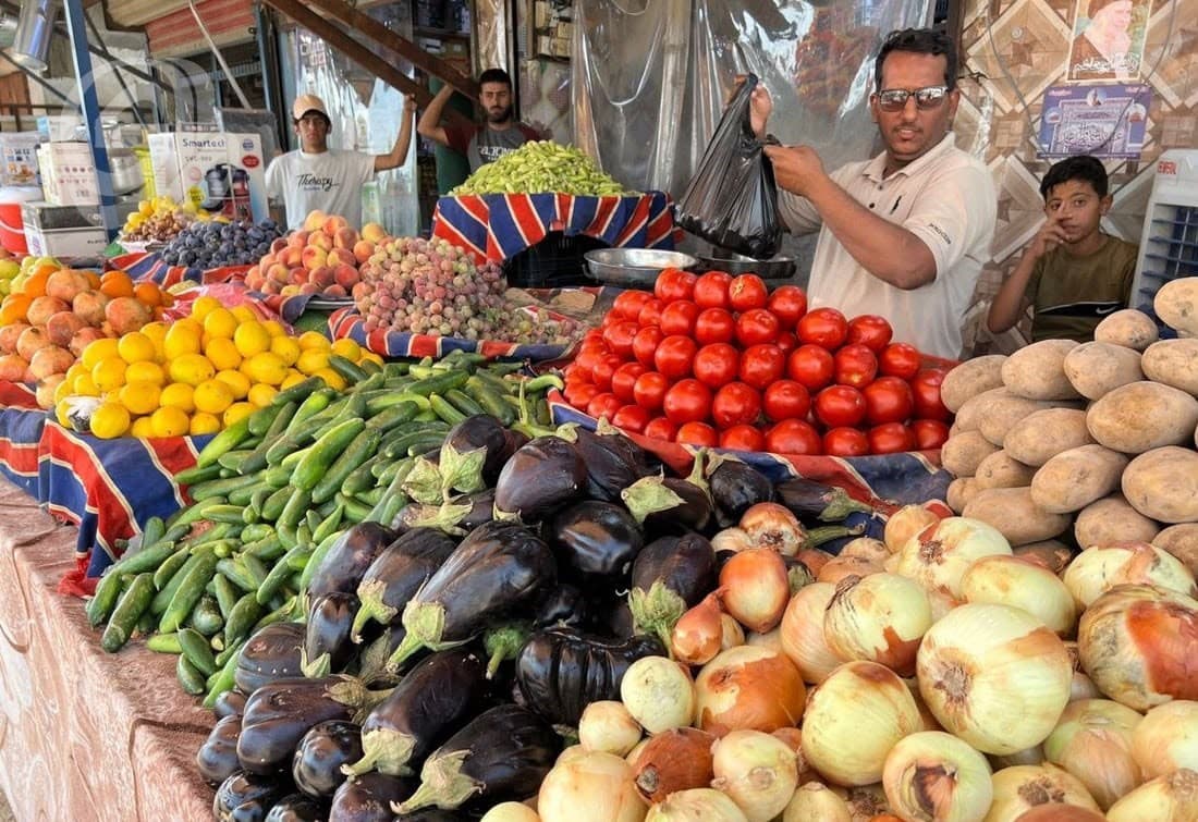 Basra Tomatoes Sell for 3,000 Dinars