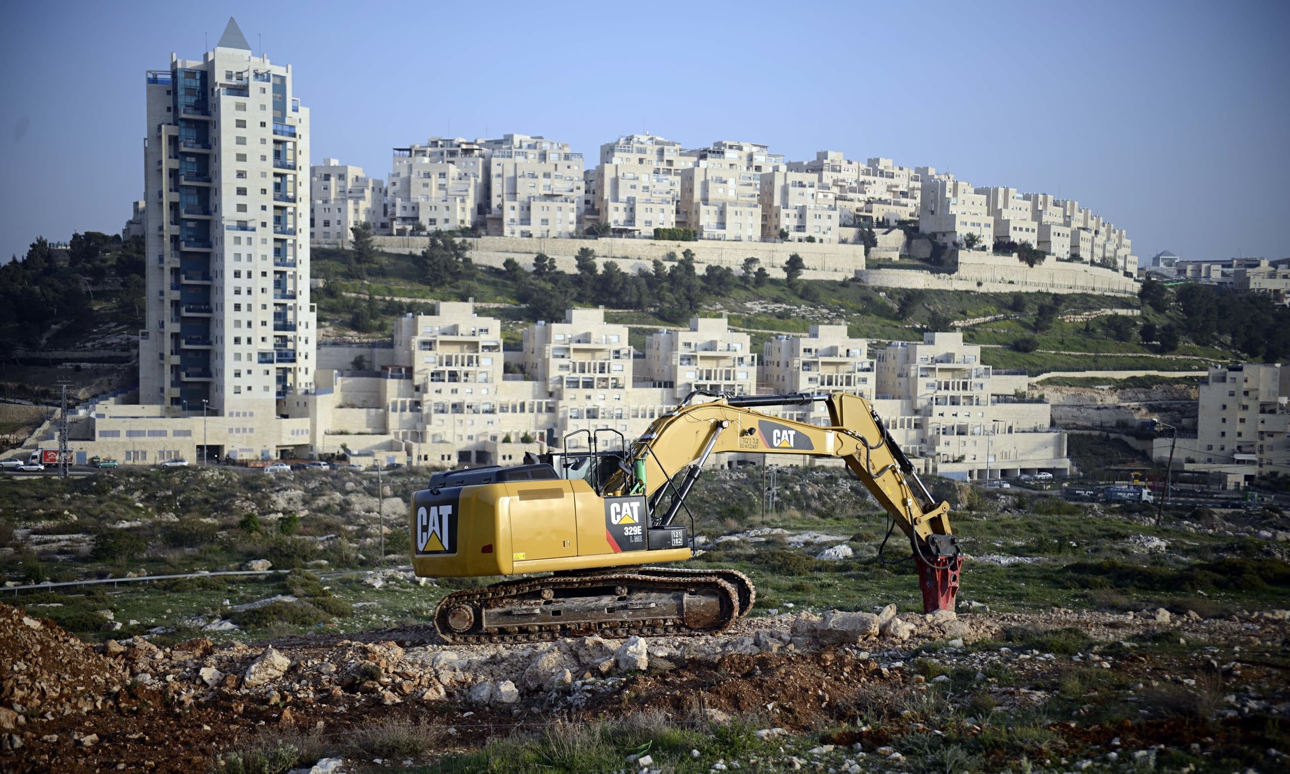 Olive Harvest and Land Tensions in West Bank