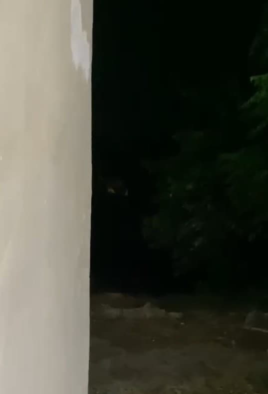 الجيش الإسرائيلي يشن حملات في حداثا