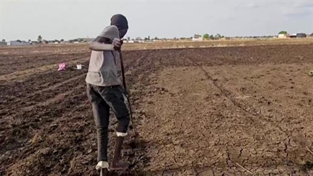 السودان يواجه جفافا وحربا يهددان الموسم الزراعي