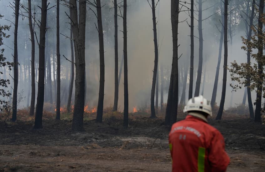 French authorities manage wildfires
