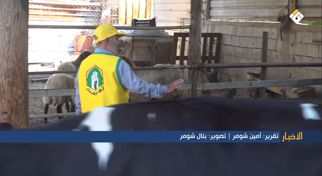 Livestock in the South Under Strain