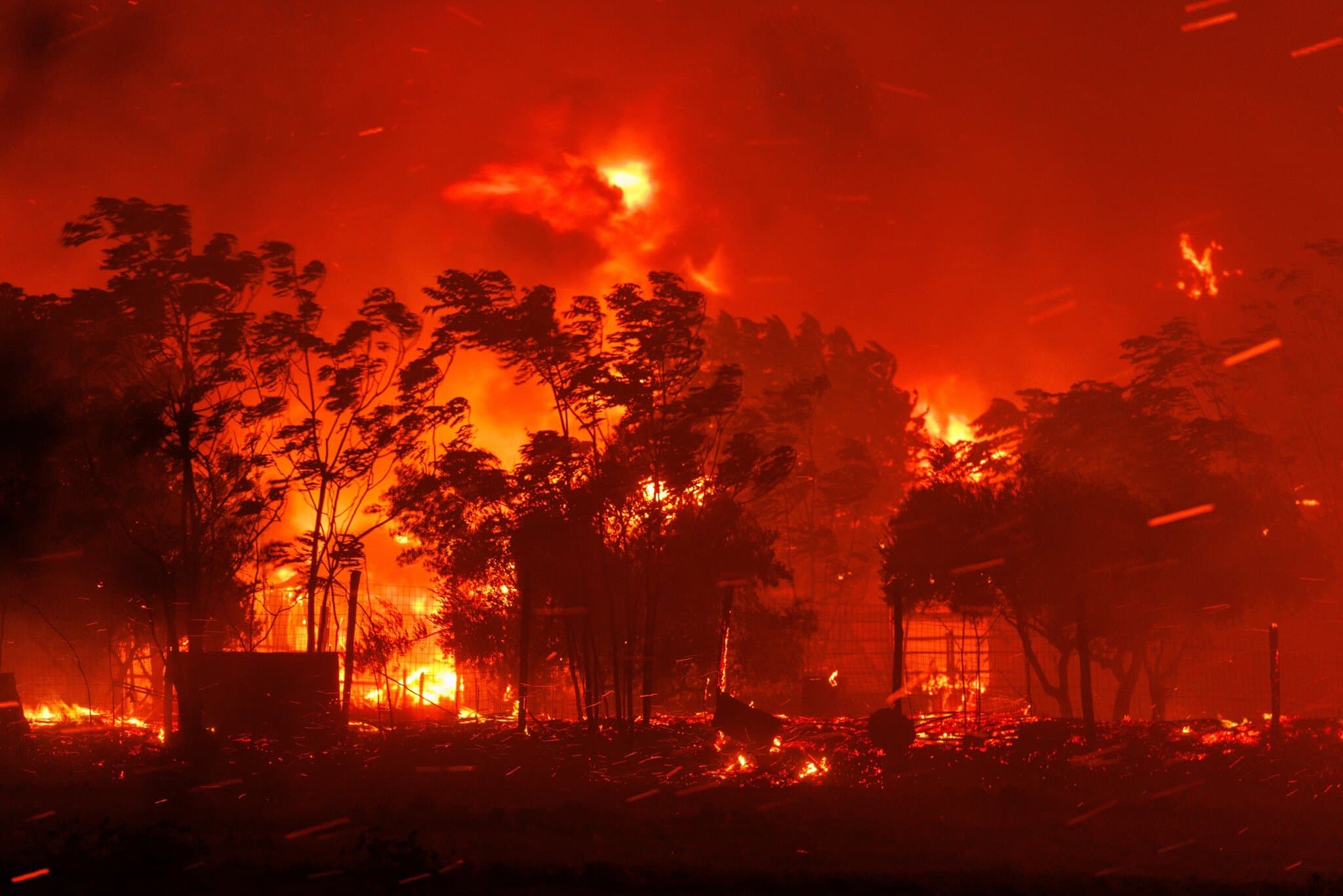 Greek wildfires burn over 12,000 hectares