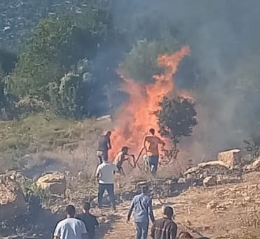 حريق في منطقة زراعية بجرود الضنية