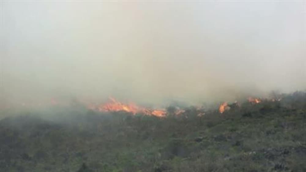 Colombia forest fire endangers mountain town