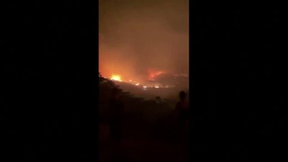 كرواتيا: جهود إخماد حريق جزيرة ميلنا