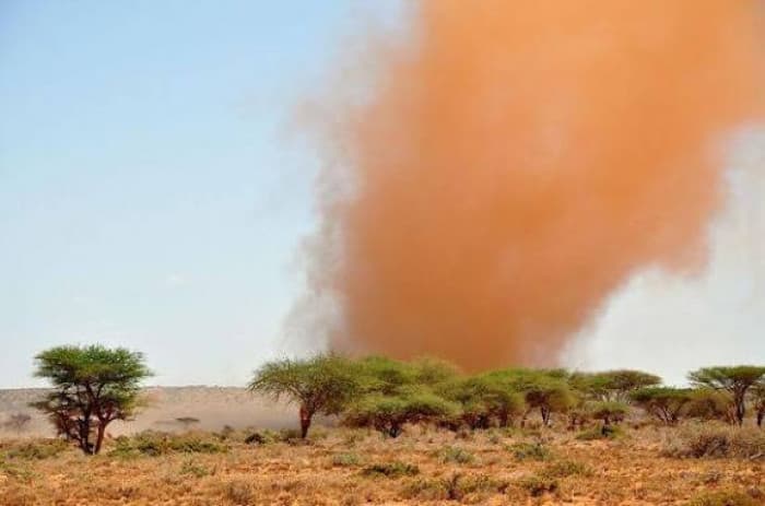 Dust storms in 2025 Reach Record Levels