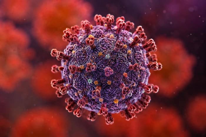 American injured in Congo with Ebola virus outbreak