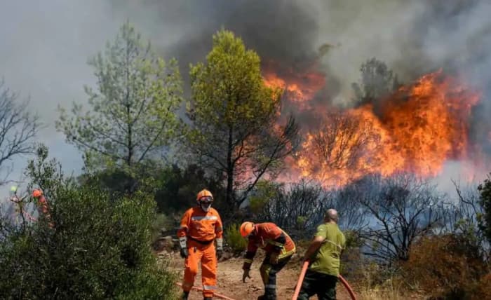 France detains 32 people over suspected involvement in wildfires
