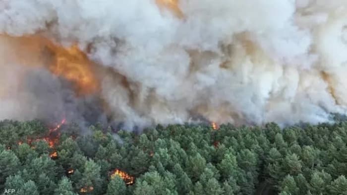 Forest fires outside Paris are destroying a wooded area near the city
