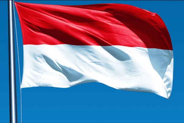 Indonesian Sea Rescue of Five Survivors