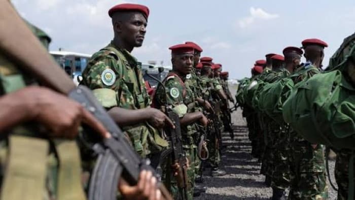 UN experts urge end to M23 violence