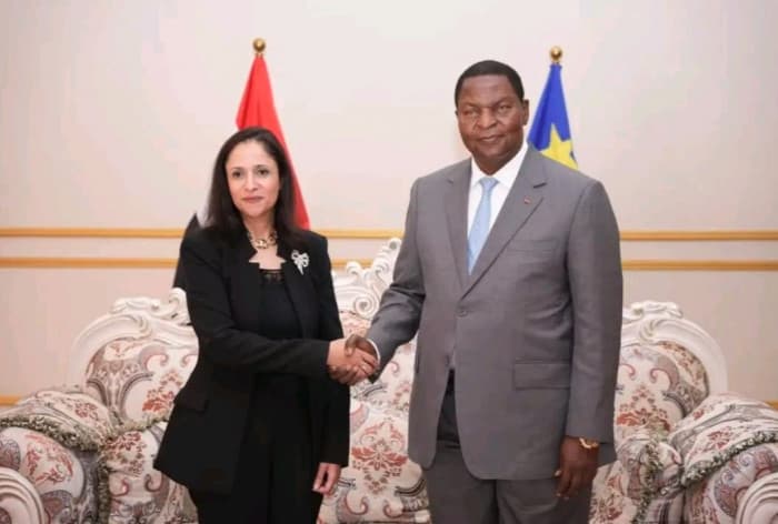 Egyptian ambassador presents credentials in Central Africa