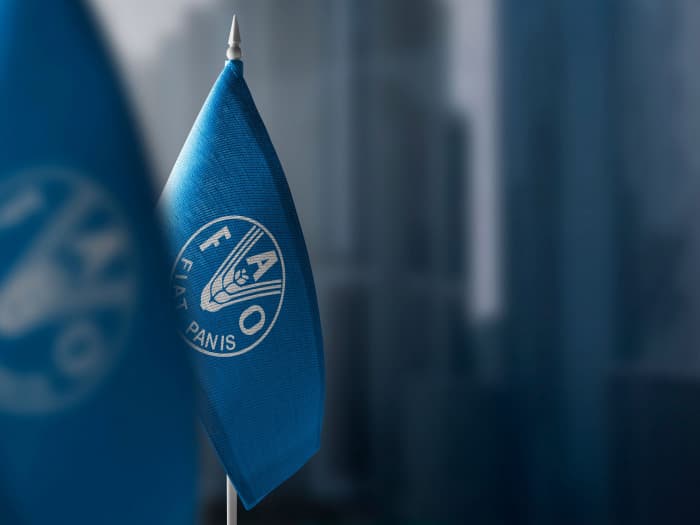 فاو: استقرار عالمي في مستويات الجوع