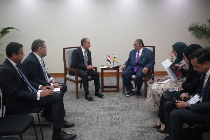 وزير الخارجية المصري يناقش مع نظيره في بروناي تعزيز التعاون
