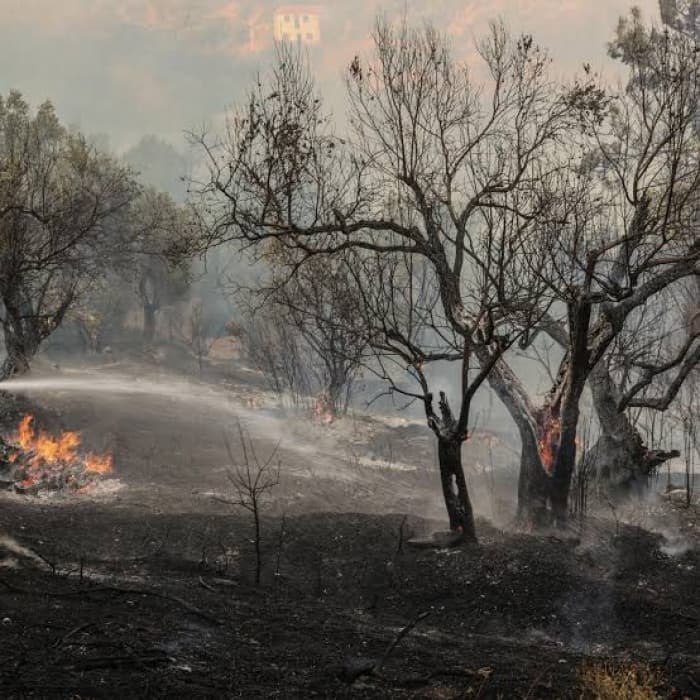 Greece evacuates 8,000 from Crete