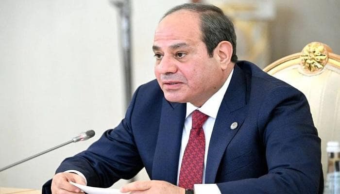Sisi urges global response after Damietta attack