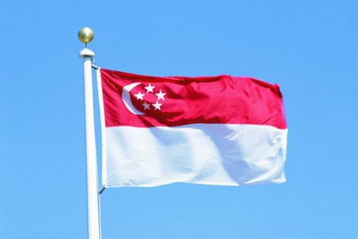 Singapore bars British musician over Palestinian flag