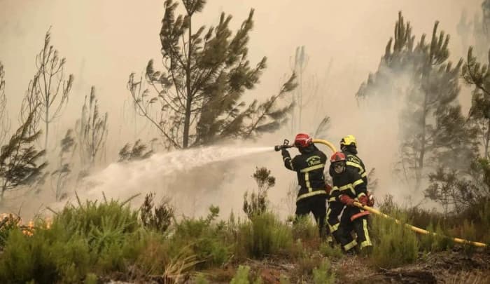 France controls its largest modern wildfire