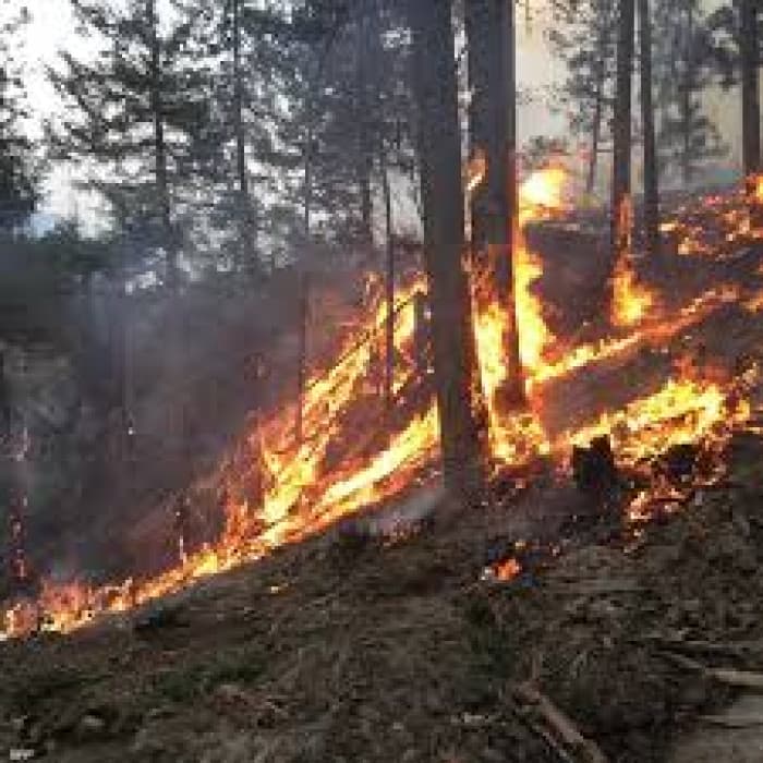 Wildfires spread over 250,000 acres in Washington