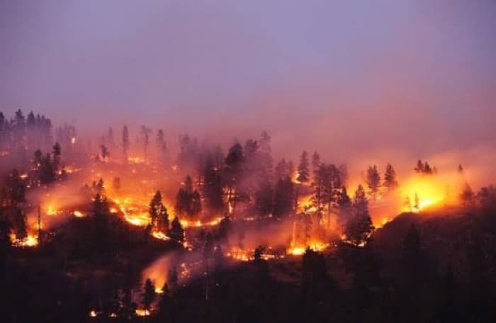Over 600 Buildings Damaged by Washington Fire