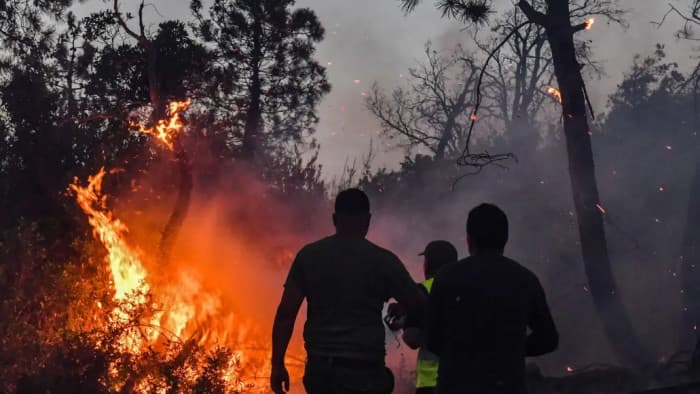 Tunisian fires put out in 24 hours