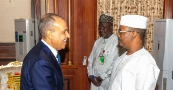 Egyptian Foreign Minister delivers message from Sisi to Chadian President