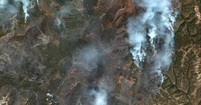 Helicopter pilot dies in forest fire