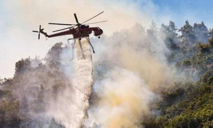 Fire near Mount Bromo consumes 550 hectares
