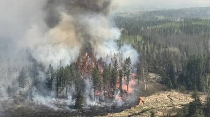 Woman dies in Canadian forest fire