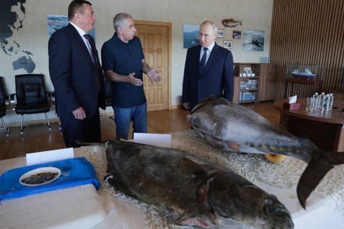 Putin Tours Kuril Islands, Japan Concerned