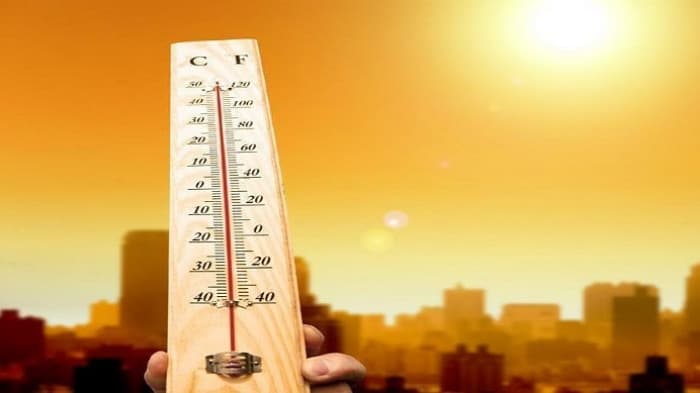 Severe Heatwave in Brussels