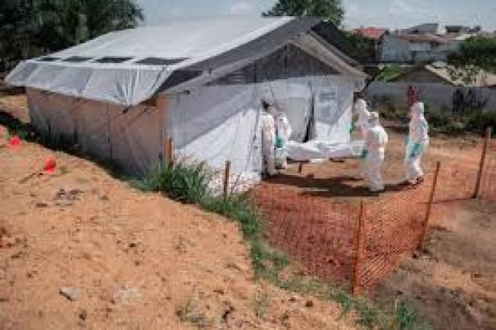 Malaria Strikes Congo with 26 Million Cases