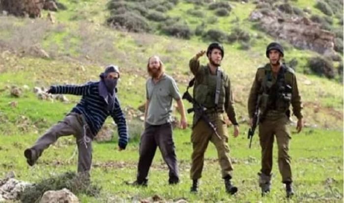 مستوطنون يهاجمون طبيب فلسطيني