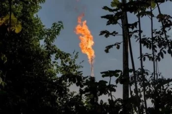 Petrobras tracks Amazon offshore oil data