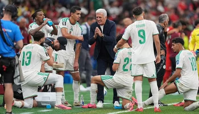 Portuguese coach near Algeria team role
