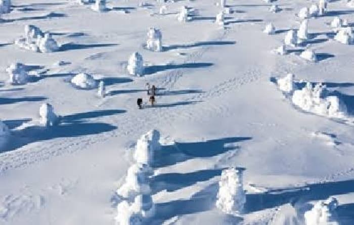Finland Hosts European Arctic Summit