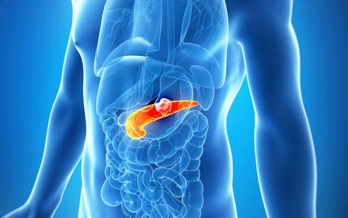 New Treatment for Pancreas