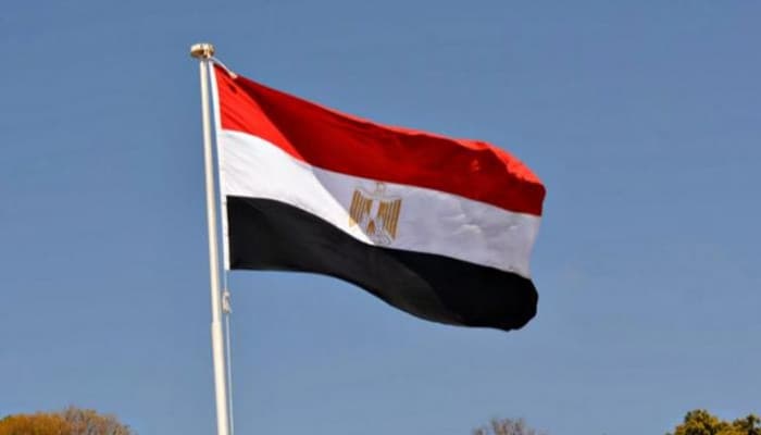 عبدالعاطي ولافروف يناقشان تعزيز التعاون المصري الروسي