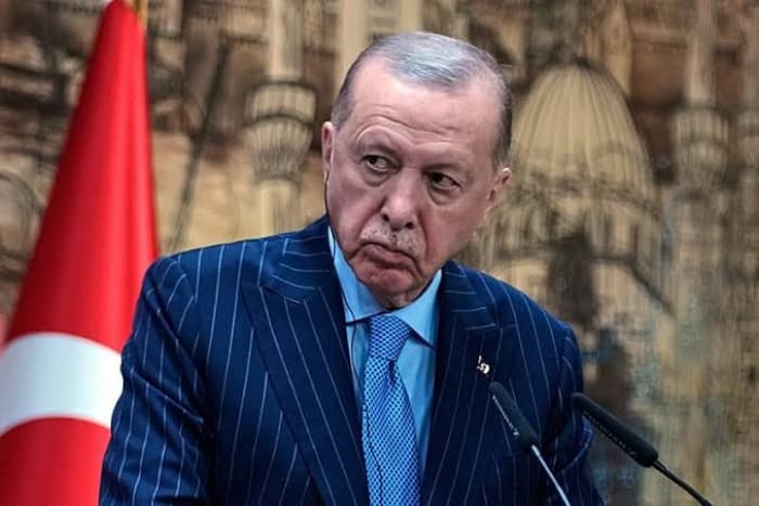Turkey detains comedian over Islam and Erdoğan insults