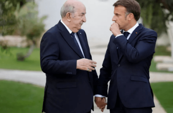 Macron proposes French aid for Algeria wildfires