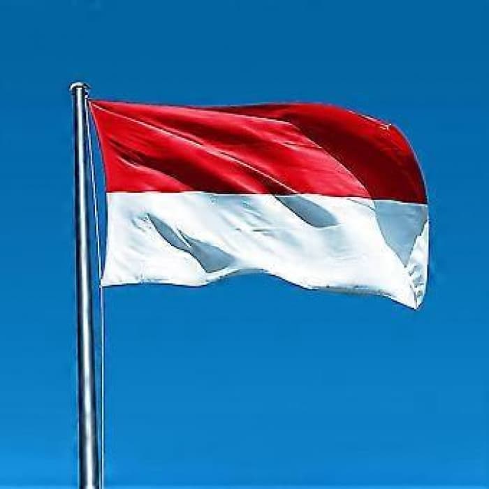 إندونيسيا تغلق 9 حدائق جراء حرائق