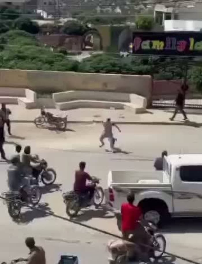 مهاجمة قرود تسببت في 3 إصابات بسوريا