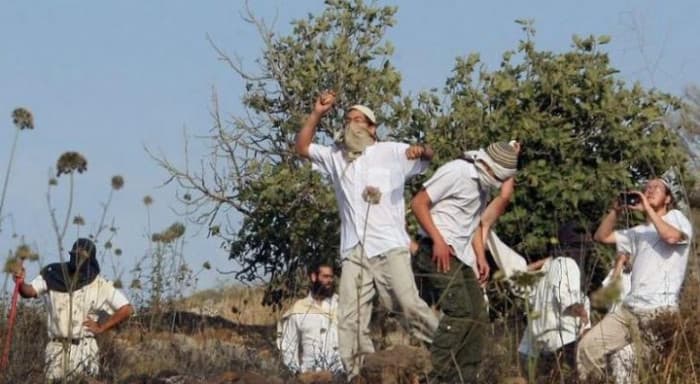 مستوطنون يهاجمون منازل فلسطينية شمال رام الله