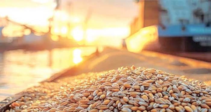 Russia halts grain export tariffs